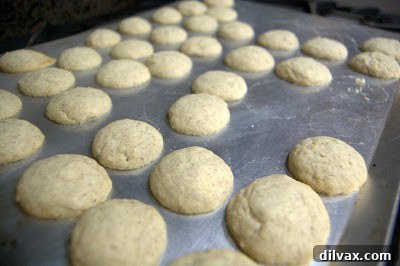 Baked Mexican Wedding Cookies on a baking sheet, slightly golden