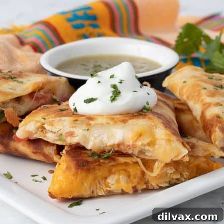 Mouthwatering Chicken Quesadillas 11 Chicken Quesadilla