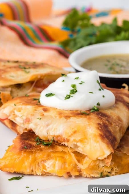 Close-up of a cheesy chicken quesadilla with golden-brown tortillas and melted cheese.