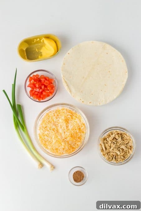 Mouthwatering Chicken Quesadillas 4 Essential ingredients for making delicious Chicken Quesadillas