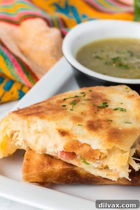 Mouthwatering Chicken Quesadillas 8 A perfectly cooked, cheesy quesadilla with savory chicken filling