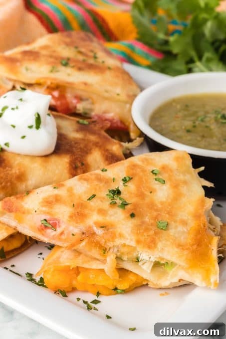 Two halves of a delicious chicken and cheese quesadilla on a white plate, garnished with cilantro.