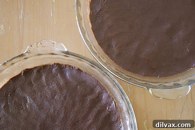 Chocolate Peppermint Shortbread Day 2 of 12 Festive Cookies 8 Shortbread dough divided and pressed into a pie plate