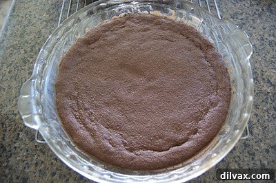Chocolate Peppermint Shortbread Day 2 of 12 Festive Cookies 9 Baked shortbread in a pie plate, still warm