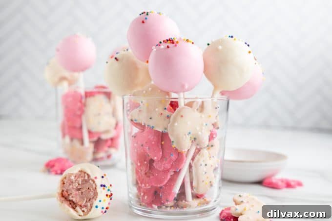 Carnival Cookie Pops 2 Circus Animal Cookie Pops – A vibrant pink and white cookie pop with sprinkles