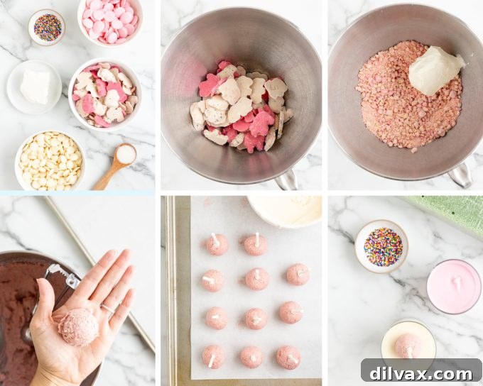 Carnival Cookie Pops 5 Circus Animal Cookie Pops step-by-step process photos