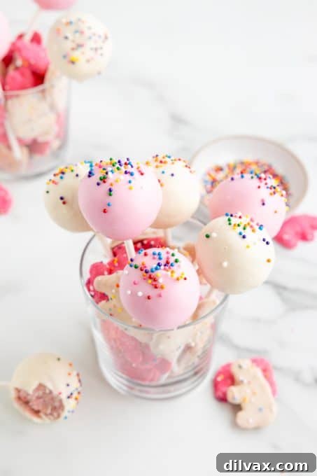 Carnival Cookie Pops 6 Close up of cookie pops made with Circus Animal Cookies