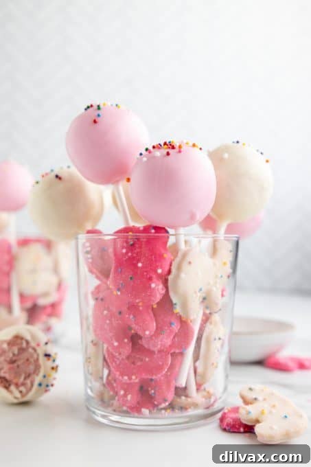 Carnival Cookie Pops 7 A selection of pink and white Circus Animal Cookie Pops on a white background