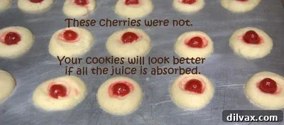 Kicking Off Our 12-Day Cookie Extravaganza with Chocolate Cherry Thumbprints 11 img 366 10