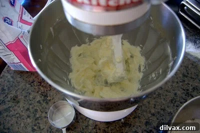 Kicking Off Our 12-Day Cookie Extravaganza with Chocolate Cherry Thumbprints 4 img 366 3