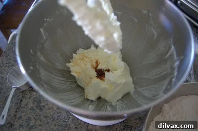 Kicking Off Our 12-Day Cookie Extravaganza with Chocolate Cherry Thumbprints 6 img 366 5