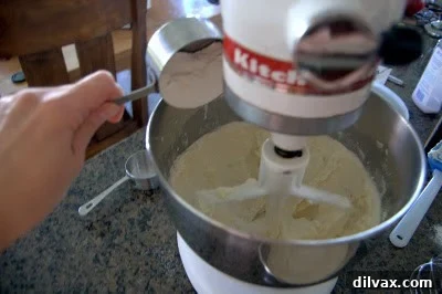 Kicking Off Our 12-Day Cookie Extravaganza with Chocolate Cherry Thumbprints 7 img 366 6