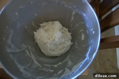 Kicking Off Our 12-Day Cookie Extravaganza with Chocolate Cherry Thumbprints 8 img 366 7