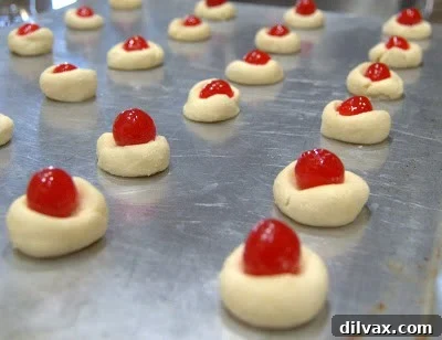 Kicking Off Our 12-Day Cookie Extravaganza with Chocolate Cherry Thumbprints 9 img 366 8