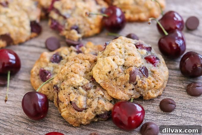 Dark Chocolate Cherry Oatmeal Cookies - your favorite oatmeal cookie with chocolate and cherries. Dark Chocolate Cherry Oatmeal Cookies - your favorite oatmeal cookie with chocolate and cherries, a perfect summer delight.