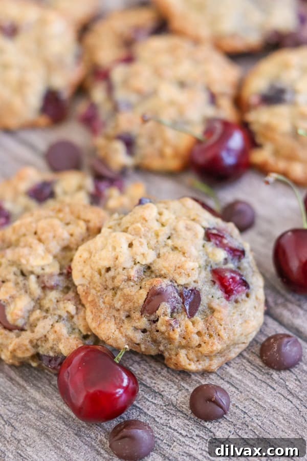 Delicious Dark Chocolate Cherry Oatmeal Cookies with chocolate and cherries. Delicious Dark Chocolate Cherry Oatmeal Cookies with chocolate and cherries, showing their comforting and rich texture.