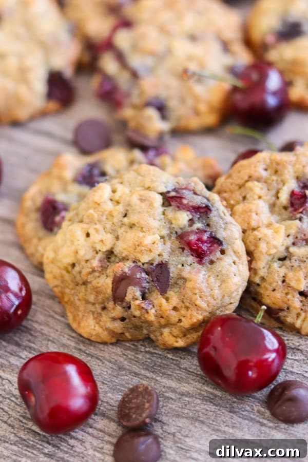 Dark Chocolate Cherry Oatmeal Cookies with dark chocolate chips and cherries. Dark Chocolate Cherry Oatmeal Cookies with fresh cherries and dark chocolate chips, highlighting the irresistible texture.