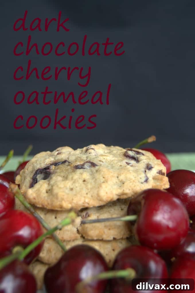 Dark Chocolate Cherry Oatmeal Cookies Dark Chocolate Cherry Oatmeal Cookies, perfectly baked and ready to be enjoyed.