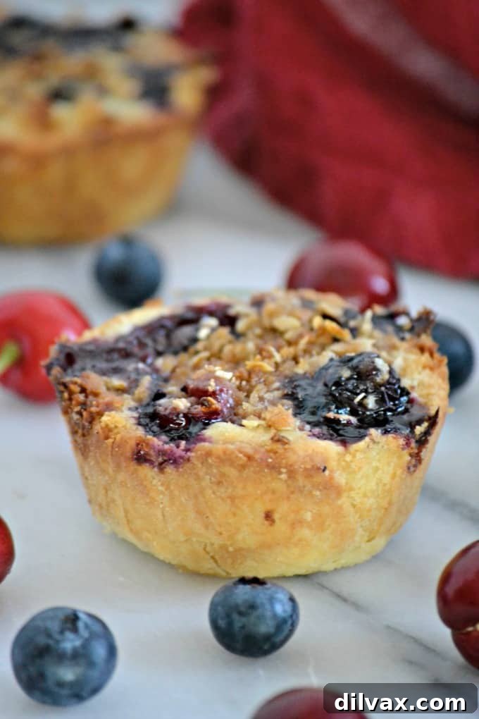 These Blueberry Cherry Mini Crumb Pies contain the fresh tastes of summer in a bite-sized treat! These Blueberry Cherry Mini Crumb Pies contain the fresh tastes of summer in a bite-sized treat! A delightful blend of two beloved berries in a crumbly pie.