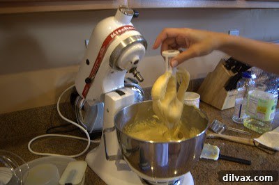 A Two Day Baking Bonanza 12 A closer look at the dough's consistency, indicating it still needs further mixing or adjustment.