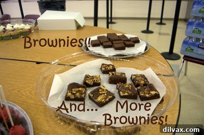 A Two Day Baking Bonanza 29 A close-up of the delicious cheesecakes and brownies on display.