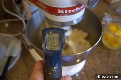 A Two Day Baking Bonanza 7 Marlena using an infrared thermometer to check the temperature of the cooling pâte à choux dough.