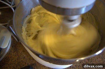 A Two Day Baking Bonanza 10 The mixing process continuing, with the paddle attachment incorporating eggs into the dough.