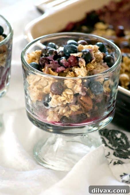 Sunrise Blueberry Baked Oats 3 Close-up of baked blueberry oatmeal showing the texture, blueberries, and pecans