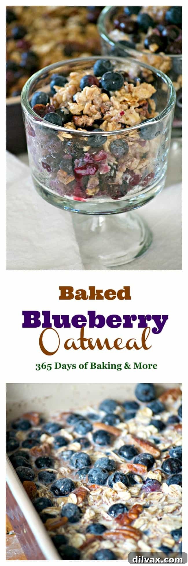 Sunrise Blueberry Baked Oats 4 Baked Blueberry Oatmeal with fresh blueberries, ready to be served.