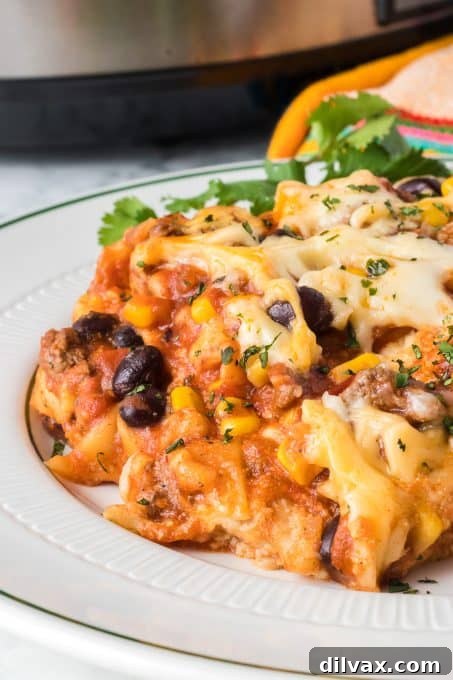 March 30th Bulletin 3 Slow Cooker Mexican Lasagna