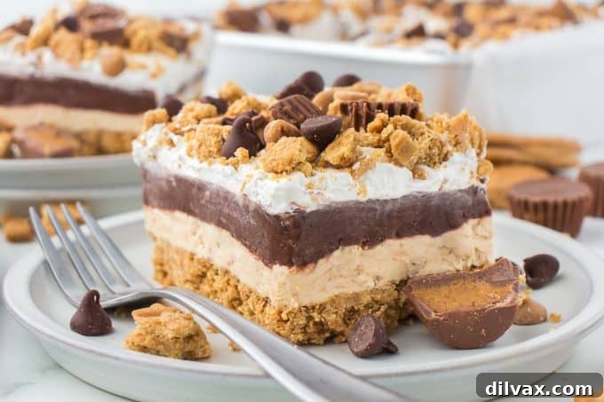 No Bake Chocolate Peanut Butter Dream Bars with distinct layers