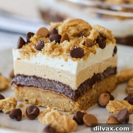 Layers of PB cookies, chocolate pudding, peanut butter cheesecake and Cool Whip.