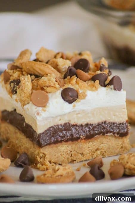 Chocolate and peanut butter make up this EASY No Bake Lasagna Lush dessert, beautifully layered.