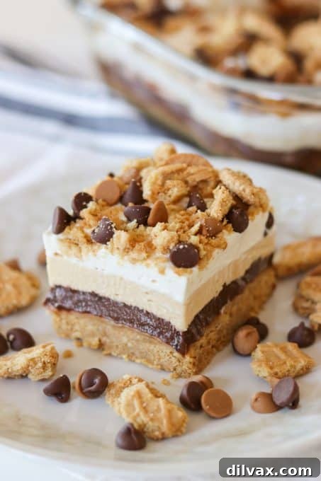 NO BAKE Chocolate Peanut Butter Dream Bars, an irresistible sweet treat.