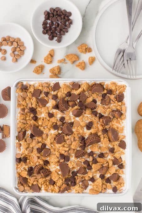 Crushed peanut butter cookies, peanut butter chips, and chopped Reese's on top of a no-bake dessert