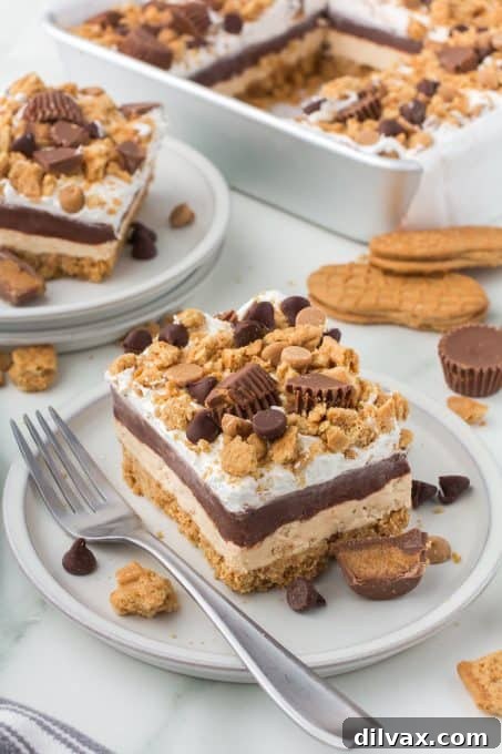 A large pan of No Bake Chocolate Peanut Butter Lasagna