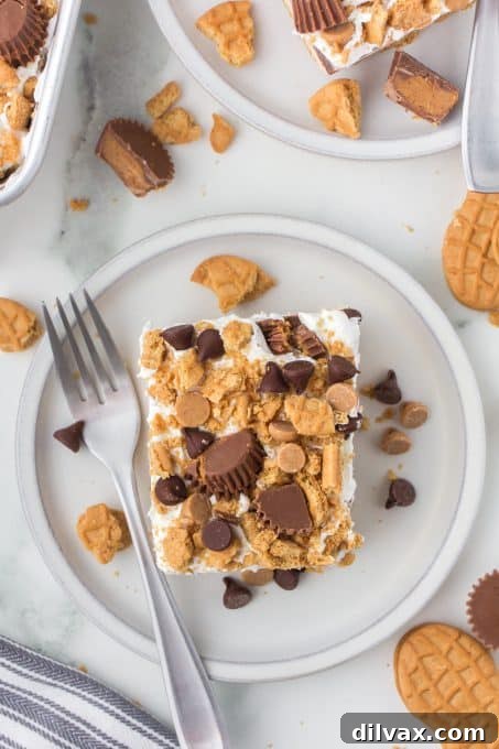 Top view of No Bake Chocolate Peanut Butter Lush dessert