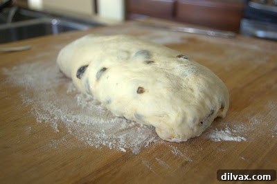 Dough rolled into a log shape with ends pinched.