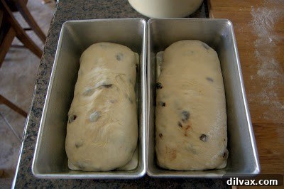 Two loaves of shaped cinnamon raisin bread in loaf pans, ready for second rise.