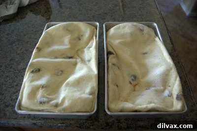 A baked loaf of cinnamon raisin bread, slightly flattened after over-proofing.
