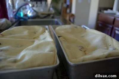 Another view of a baked loaf, showing its texture.