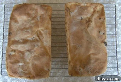 A close-up of the cinnamon swirl inside the bread.