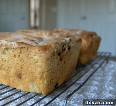 A slice of cinnamon raisin bread with its delicate texture.