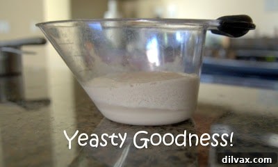 Activated yeast mixture with foam on top.