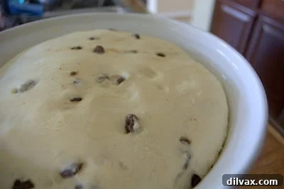 Dough risen and doubled in a greased bowl.