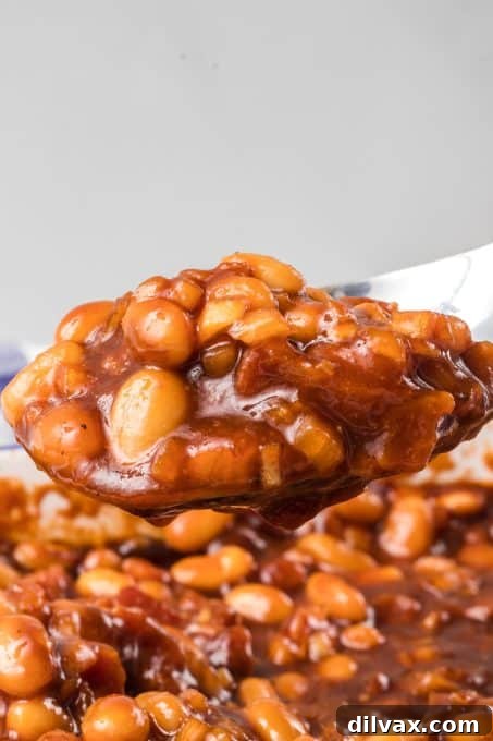 A spoonful of baked beans, showing the rich sauce and tender beans.