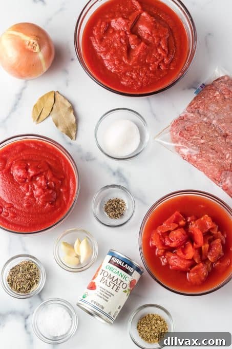 A selection of fresh ingredients laid out for making the rich meat sauce, including ground beef, onions, garlic, and various tomato products.