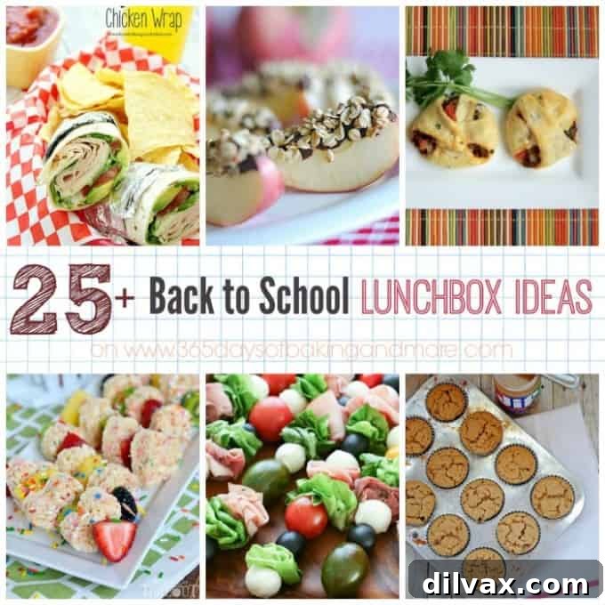 No More Soggy Sandwiches: Innovative School Lunch Ideas 2 Delicious and Nutritious Back to School Lunchbox Ideas for Kids
