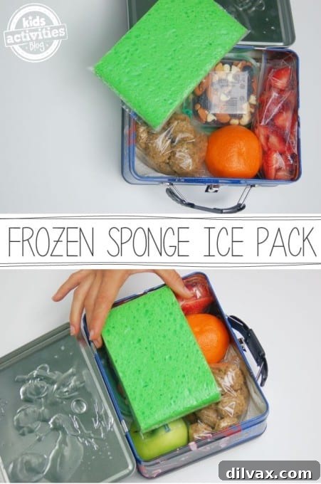 No More Soggy Sandwiches: Innovative School Lunch Ideas 13 Frozen Sponge Ice Pack - Lunchbox Tip