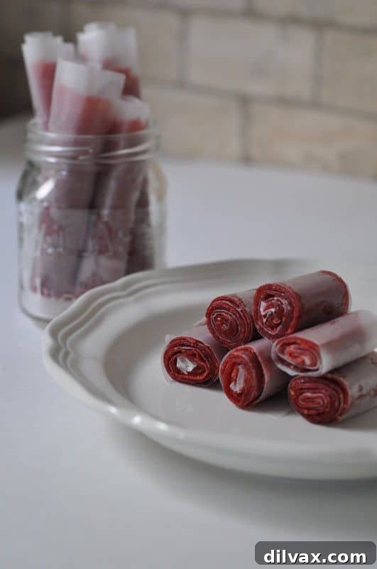 Homemade Fruit-By-The-Foot - Healthy Fruit Snack